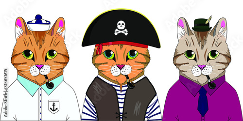 Three cats in different costumes. Three interesting feline characters.