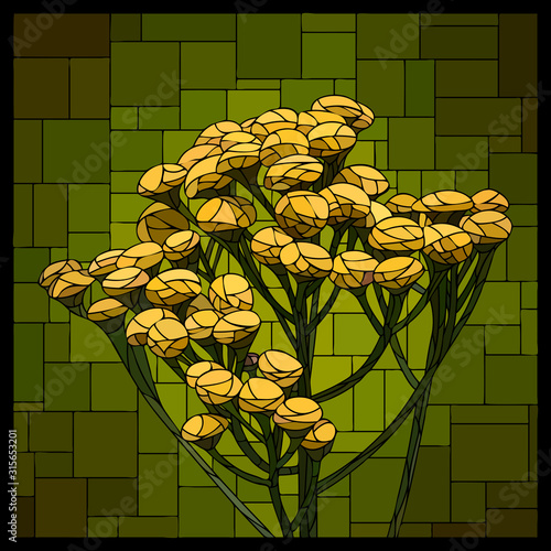 Vector square stained glass window with blooming tansy.