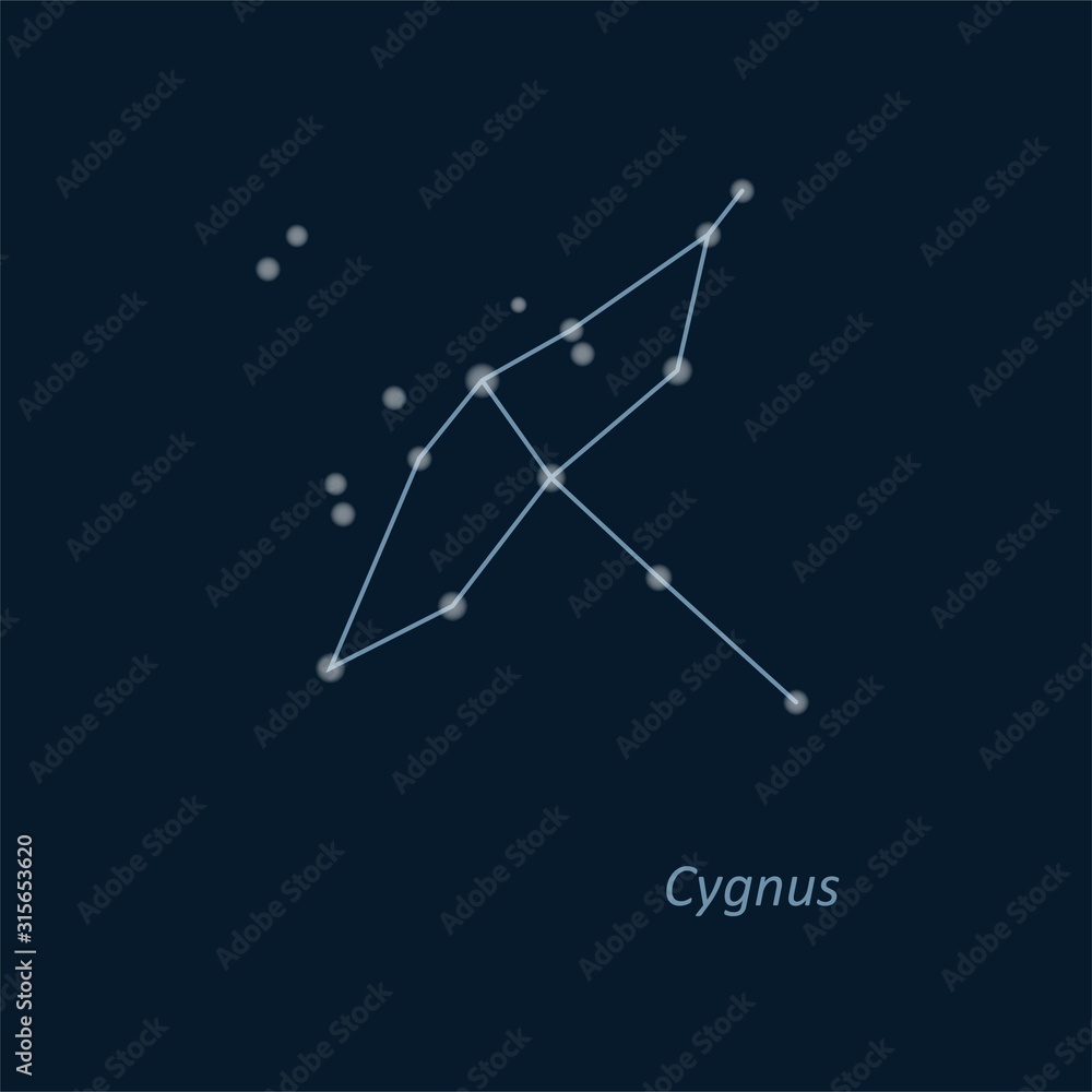Science astronomy, star chart on deep blue background. Cygnus constellation. Vector illustration. Swan.