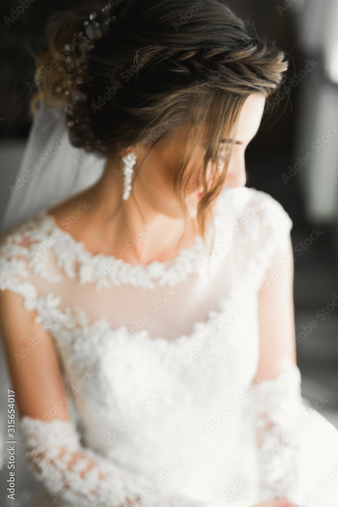 Luxury bride in white dress posing while preparing for the wedding ceremony Luxury bride in white dress posing while preparing for the wedding ceremony