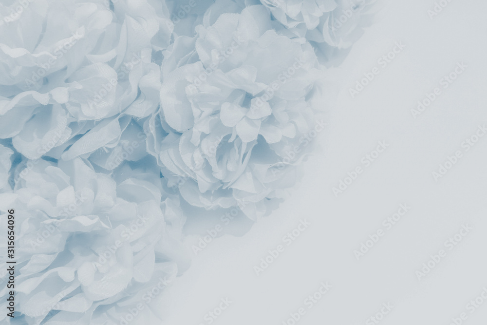 Beautiful abstract color purple and blue flowers on white background and light purple flower frame and purple leaves texture, purple background, colorful blue banner happy valentine Beautiful abstract color purple and blue flowers on white background and light purple flower frame and purple leaves texture, purple background, colorful blue banner happy valentine