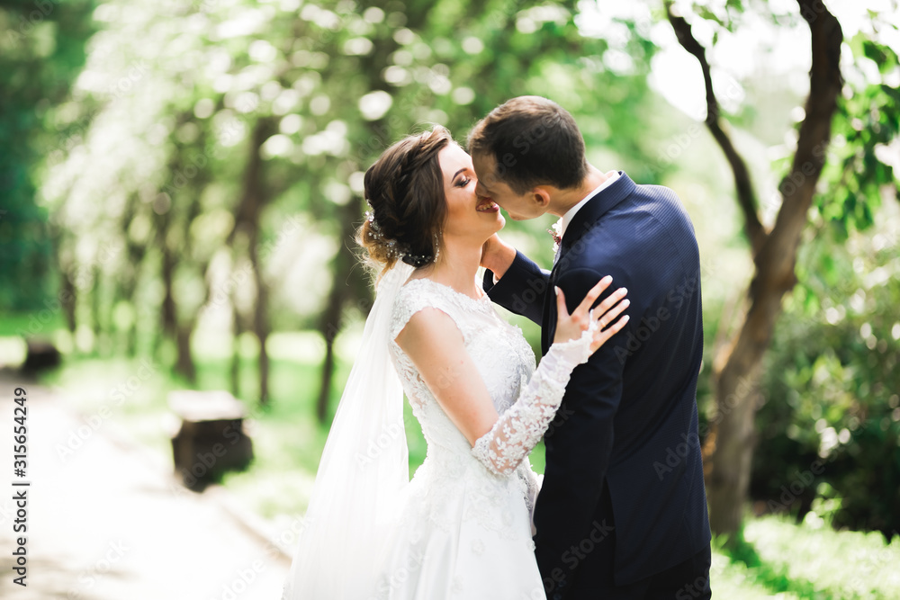 Beautiful bride and groom embracing and kissing on their wedding day outdoors Beautiful bride and groom embracing and kissing on their wedding day outdoors