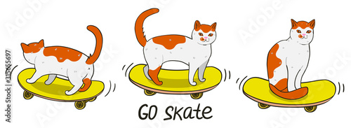 Cats on skateboards isolated on a white background. Vector graphics.