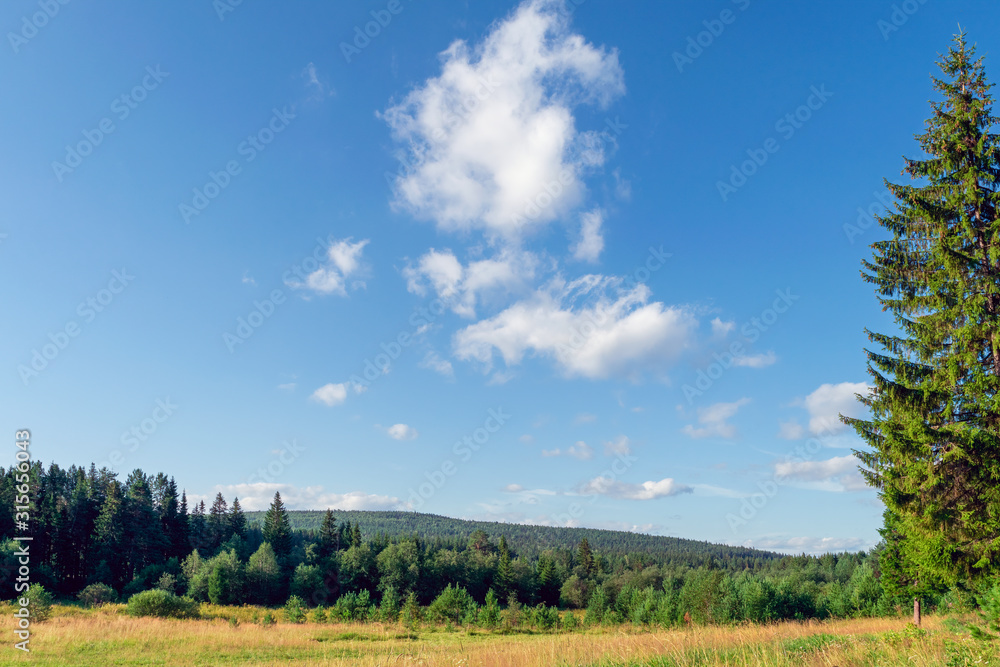 Naklejka premium Krajobraz wczesną jesienią las jodłowy na Uralu.