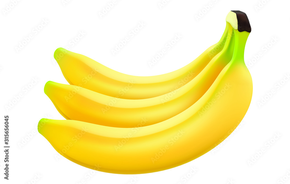 Bananas in realistic style, 3d vector. Bunch of bananas isolated on white background.