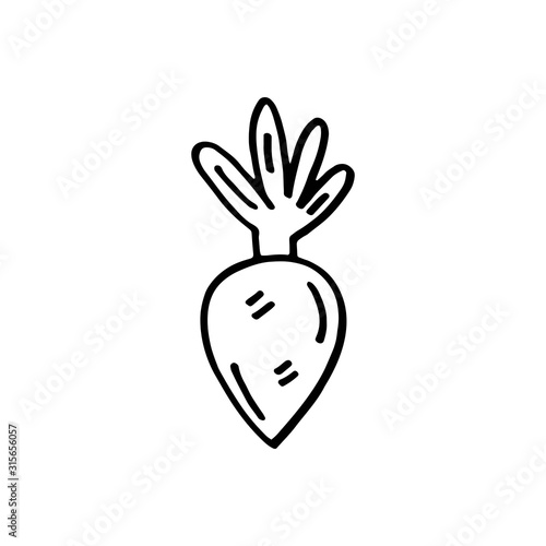 Radish vegetable vector doodle line art illustration, sticker, icon. Isolated on white background. Easy to change color. Design element. Gardening, eco food, vegetarian, vegan. Small home garden.