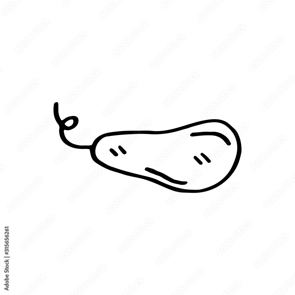 Vegetable marrow vector doodle line art illustration, sticker, icon. Isolated on white background. Easy to change color. Design element. Gardening, eco food, vegetarian, vegan. Small home garden. Vegetable marrow vector doodle line art illustration, sticker, icon. Isolated on white background. Easy to change color. Design element. Gardening, eco food, vegetarian, vegan. Small home garden.