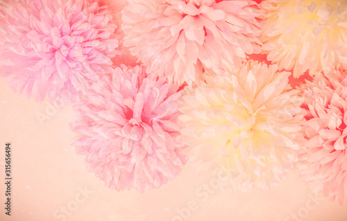 Beautiful abstract color purple and pink flowers on yellow background and white flower frame and pink leaves texture, pink background, colorful banner happy valentine