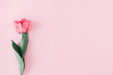 Flowers composition romantic. Flowers pink tulips on pastel pink background. Wedding. Birthday. Happy woman's day. Mothers Day. Valentine's Day. Flat lay, top view, copy space 