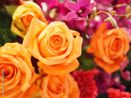 orange rose flower arrangement Beautiful bouquet on blurred of nature background symbol love Valentine Day
