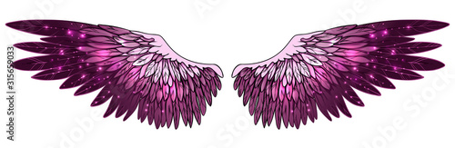 Beautiful magic spreaded glittery purple pink wings, vector