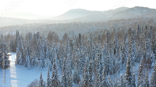 Winter forest on a Sunny day. Snow-covered firs. Light snowfall. Beautiful view from above