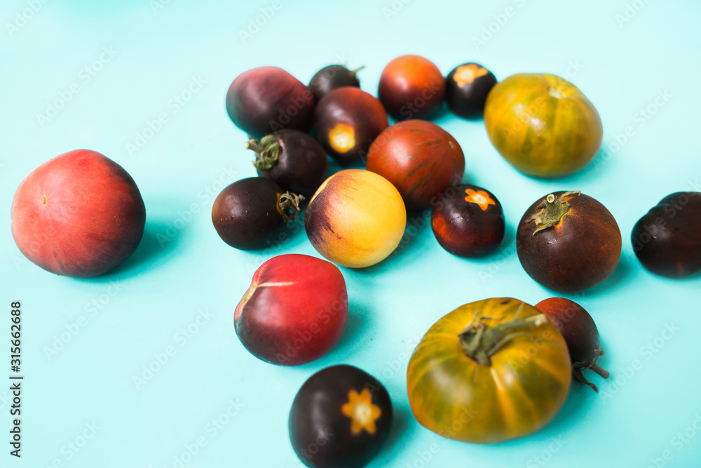 fresh colorful tomatoes on a blue background fresh colorful tomatoes on a blue background