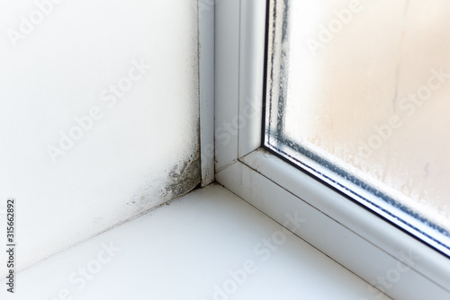 Fungus and dampness at the wet window.