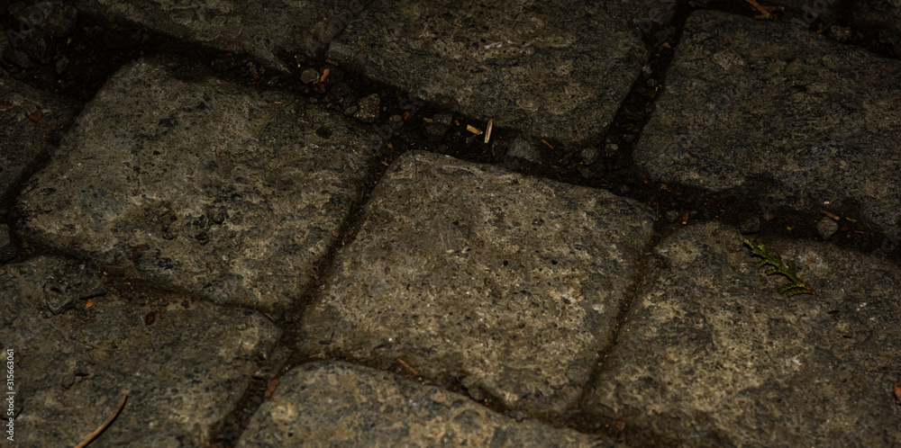 Obraz premium Horizontal background with antique pavers in the dark