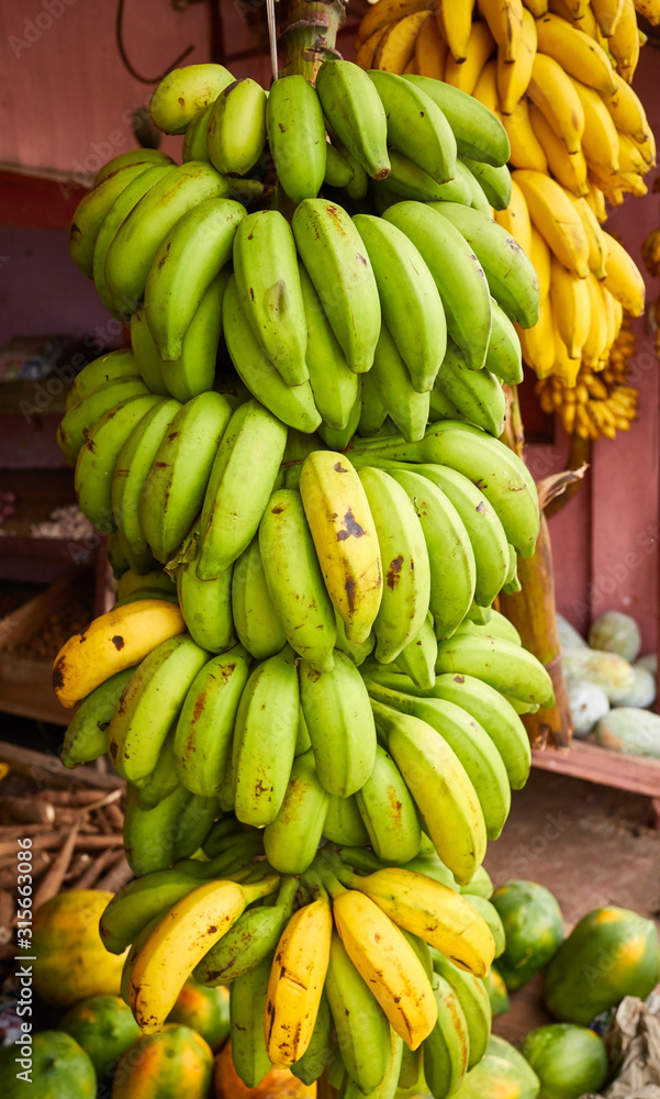 Banana stem on a local market.