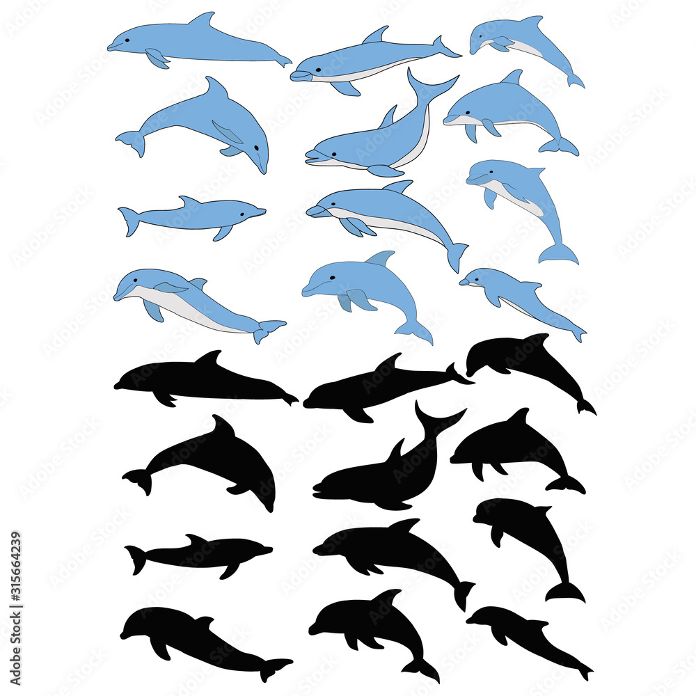 vector, isolated, set of dolphins vector, isolated, set of dolphins