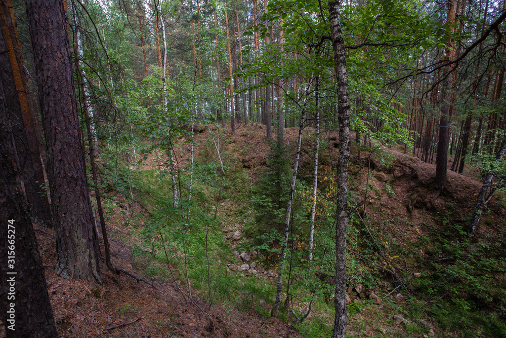 Old open pit mine amethyst crystalls in forest Old open pit mine amethyst crystalls in forest