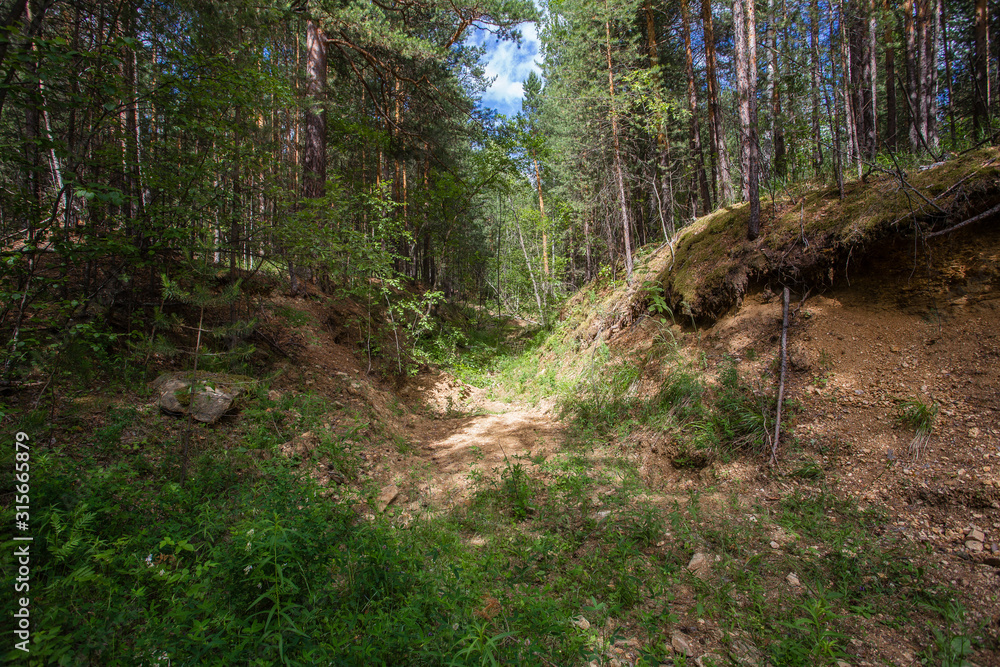 Fototapeta premium Old open pit mine amethyst crystalls in forest