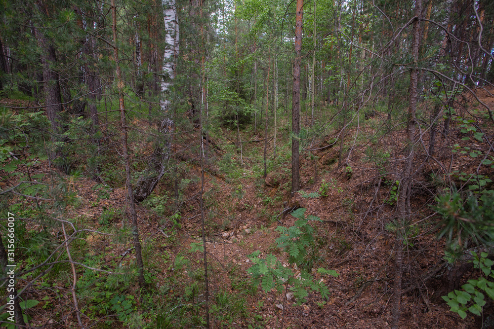Old open pit mine amethyst crystalls in forest Old open pit mine amethyst crystalls in forest
