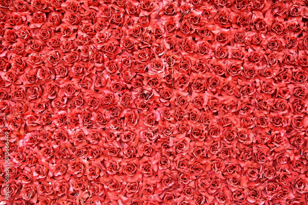 Fototapeta premium many red roses background texture 