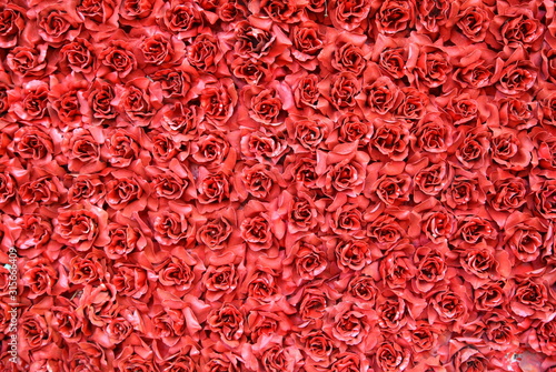 many red roses background texture 