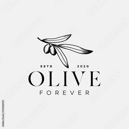 Illustration Olive Tree Logo Design With Vintage Style