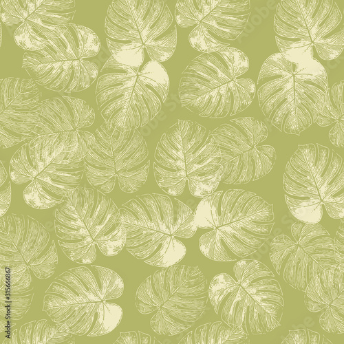 Monstera palm leaves seamless vector background. Tropical leaf pattern. Exotic nature repeating backdrop white on green. Philodendron plant design for fabric  beach wear  summer  home decor