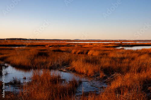 New England Salt Marsh at Sunset