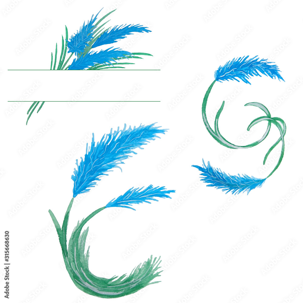 Watercolor frames and elements of blue pampas grass. Perfect for decorating cards, invitations, photo albums, web sites and other creative projects.