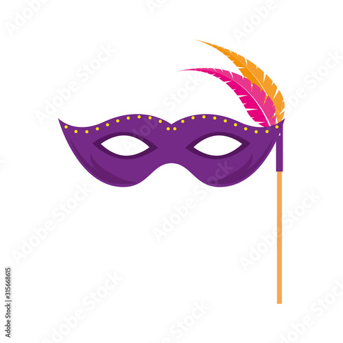 Isolated mardi gras mask with feathers vector design