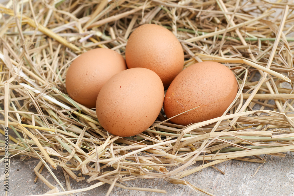 top view four brown eggs on rice straw with concrete background. top view four brown eggs on rice straw with concrete background.
