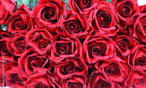 Big bunch of red roses 