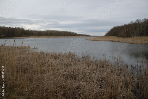 Roseli  re du lac de madine