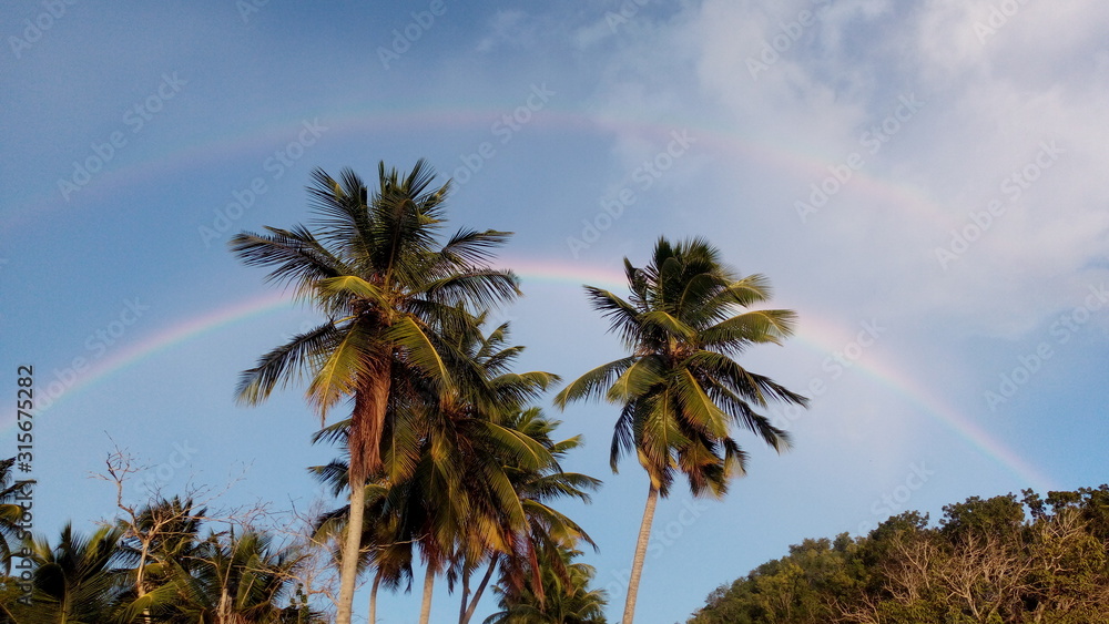palm trees on the beach rainbows mountains Puerto Rico palm trees on the beach rainbows mountains Puerto Rico