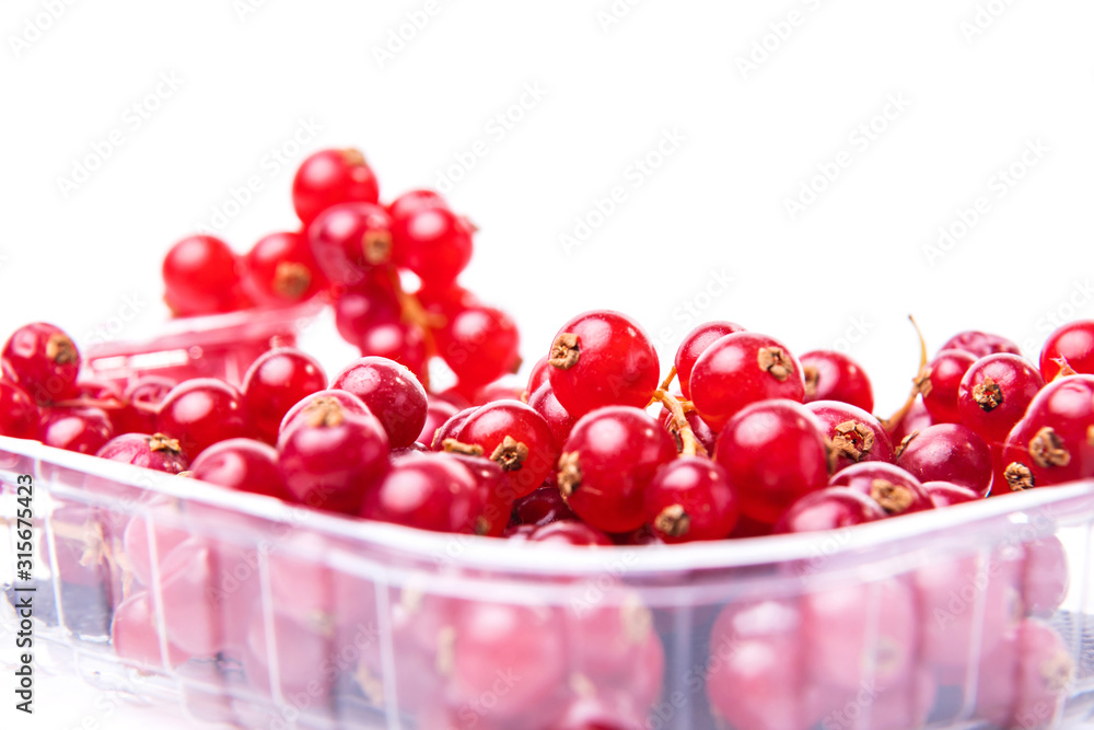 Red currants presented on white background Red currants presented on white background