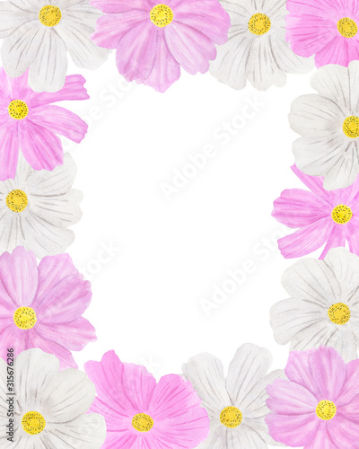  Frame postcard cosmea flowers watercolor illustration