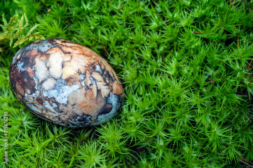 Top view of Easter egg on green natural background
