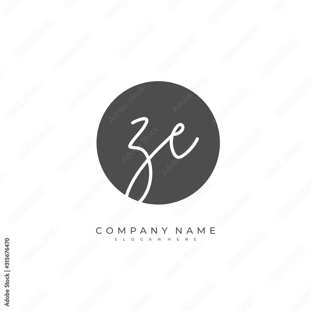 Handwritten initial letter Z E ZE for identity and logo. Vector logo template with handwriting and signature style. Handwritten initial letter Z E ZE for identity and logo. Vector logo template with handwriting and signature style.