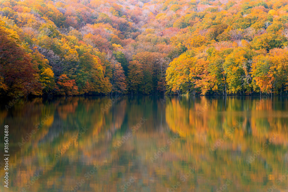 Obraz premium Reflection of Tsuta Numa, beautiful pond in Japan, Aomori prefecture