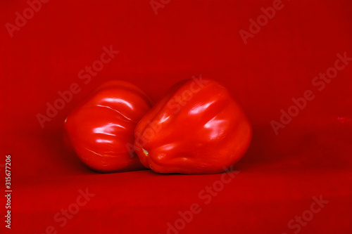 tomatoes on red background © Nora