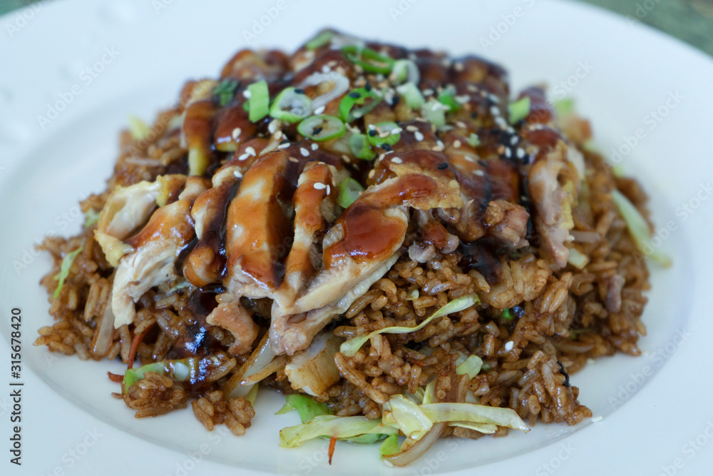 Asian food. Teriyaki chicken rice dish. Foregorund Asian food. Teriyaki chicken rice dish. Foregorund
