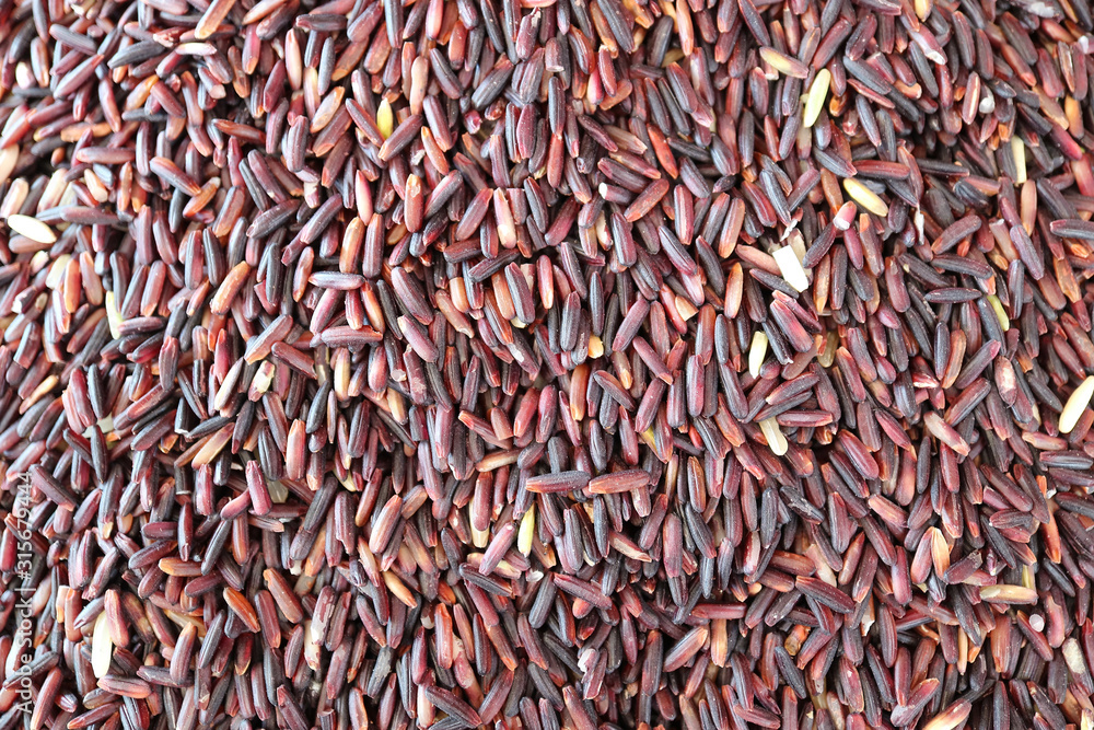 Deep Purple Uncooked Rice-berry Rice Grains for Background or Wallpaper Deep Purple Uncooked Rice-berry Rice Grains for Background or Wallpaper