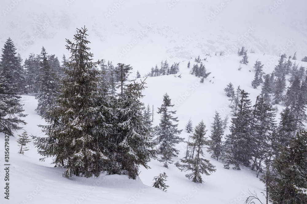 Obraz premium Landscape of the Giant mountains (Krkonose) in winter