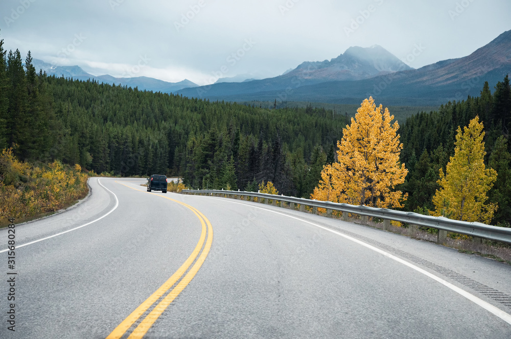 Fototapeta premium Road trip with rocky mountains in autumn forest at Banff national park