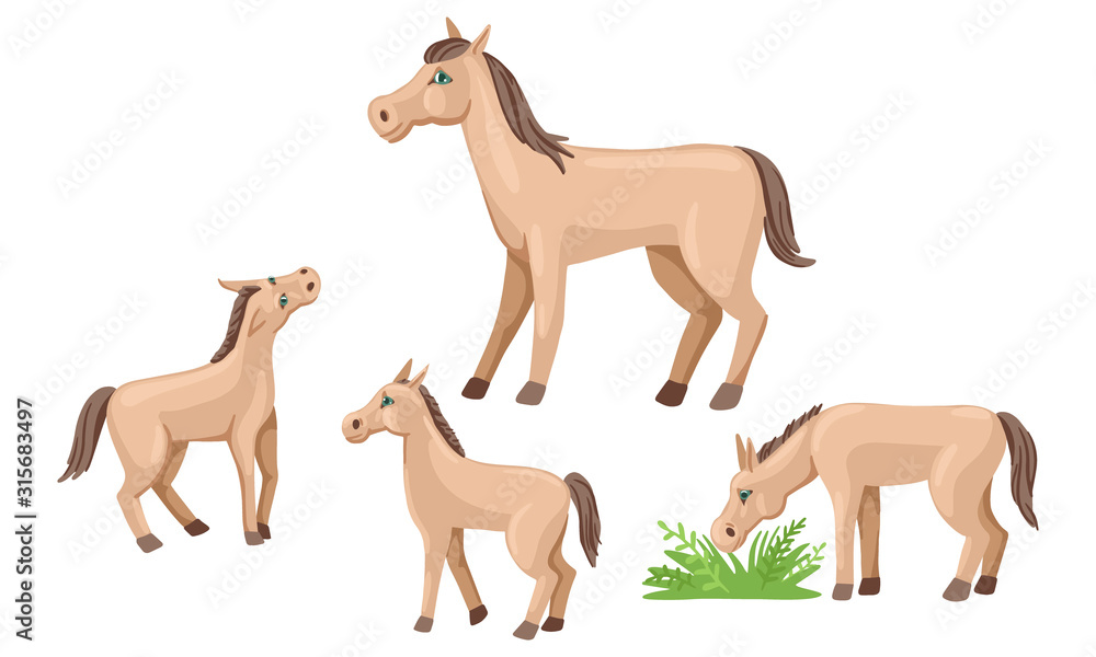 Set of foals and horse. Farm animals walk and graze. Vector illustration