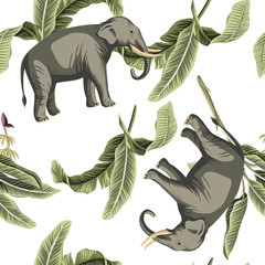 Keuken achterwand Afrikaanse dieren patronen Vintage olifant tussen bananenbladeren jungle  © good_mood
