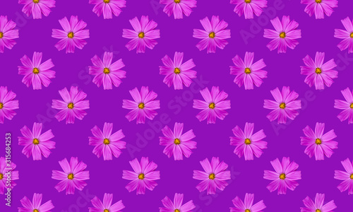 Cosmos flowers seamless pattern background