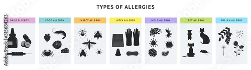 Allergy types concept for infographic. Food, animal hair, latex, drugs, insect, pollen allergy. Poster, banner template with different allergens