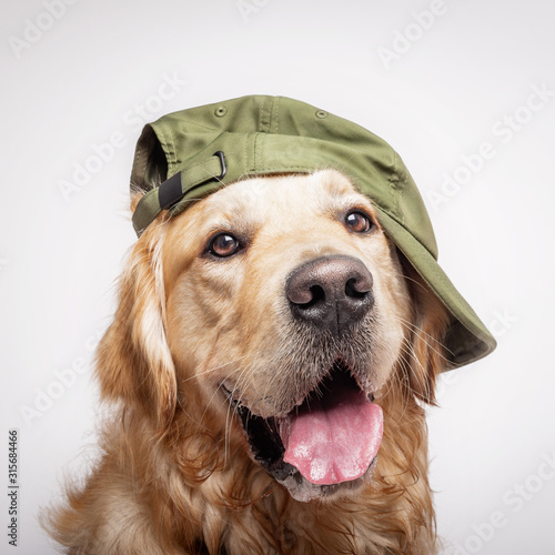 A dog wearing a hat
